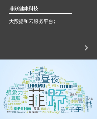 The Kite Map Logo